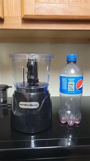 Viral Electric Vegetable Chopper from Amazon Mini Food Processor