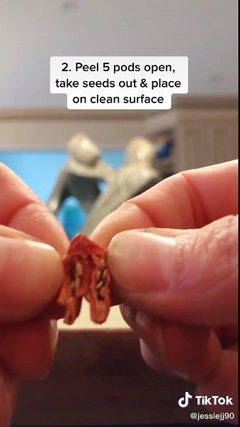 Growing Goji Berries: 5 Steps for Success