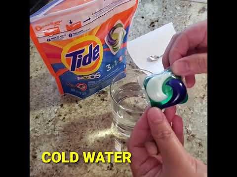 TIDE PODS EXPERIMENT 🧪🧫