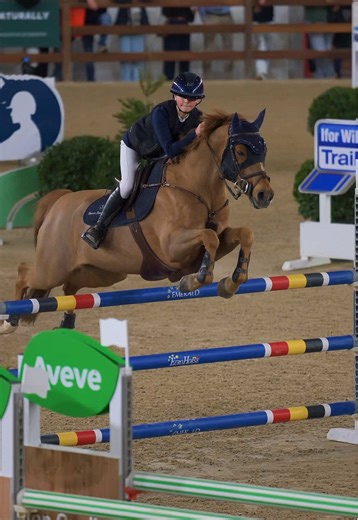 🔙 to Jumping Mechelen with @DL & Dartaghan de l’etape 🤩 Bookings for Flanders Horse Expo are open! Interested? Contact me on TikTok or instagram ( nvg_photography)💌 Looking forward to making your moments a permanent memory! 😄 #fyp #horsephotography #horsephotographer #jumpingmechelen #photography