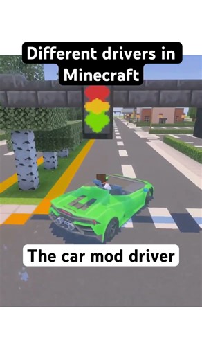 Different drivers in Minecraft!#minecraft #shorts