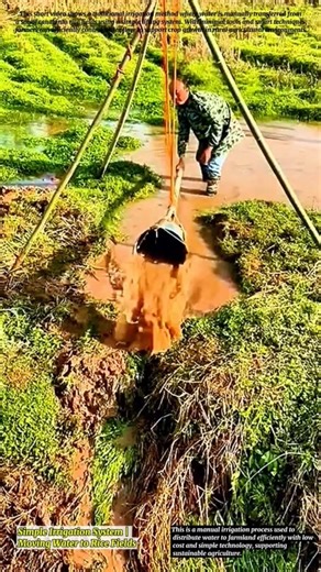 Simple Irrigation System | Moving Water to Rice Fields
