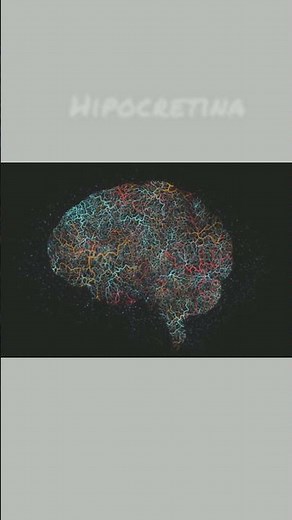 Tu cerebro puede dormirse sin aviso 😴⚡ | Narcolepsia #cienciaasombrosa