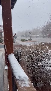 Snowy Sunday! ❄ Thanks to Veronica Cantu for sharing this snowy view from the Heber area today! | ABC15 Arizona