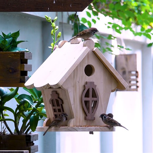 Build Easy Wooden Bird House and Bird Feeder | Woodworking Tools