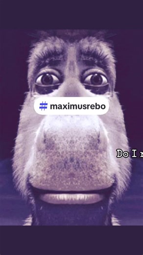 #maximusrebo #fyp #music