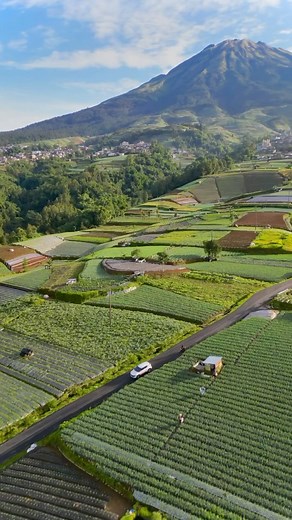 Wonderful Indonesia on Instagram: "Welcome to Sukomakmur, the “Vegetable Country” of Magelang, Central Java in #Indonesia! 🥦 Sitting at the foot of Mount Sumbing, these gorgeous fields are where your veggies might come from! 🌽 📍Sukomakmur, Magelang, Central Java 🎥: @denyyudanto99 #WonderfulIndonesia #WonderfulJourney #FarmToTable #OrganicLiving #GreenLife"