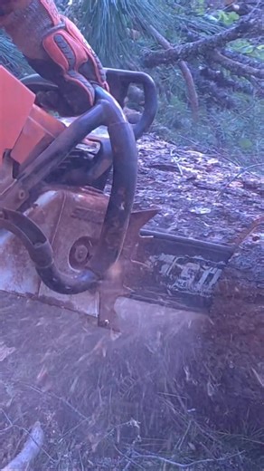 Cuttin That Firewood