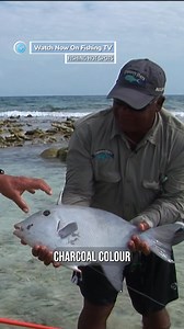 1.1K views | Comment below if you know why they’re called...