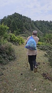 Nomadic Shepherd's Life in Himalayas #viral #himachal #reelitfeelit #traveling #himachalilife #Night #campinginrain #nightcamping #nomad | Himachali Life