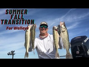 Summer To Fall Transition for Walleye