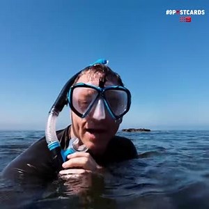 Dive into Ricketts Point Marine Sanctuary, and a new #9Postcards, now on Channel 9 and 9Now! 🤿 | Postcards