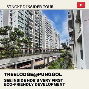 1K views | Treelodge@Punggol is famous for numerous reasons. For one,...