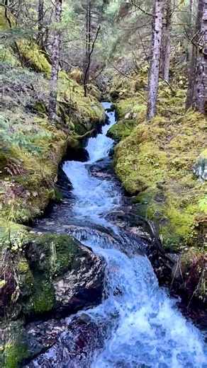 2.4K views · 278 reactions | Crystal clear Alaskan water, blue skies, upper 40’s, and scenery beyond imagination. What a perfect day on the Alaskan trail. #alaska #hiking #travelphotography | Wayne Cragg Photography and Adventures | Facebook