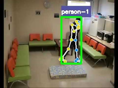 Fall Detection Using CNN and LSTM