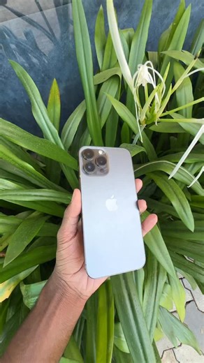  Foni Store /- on Instagram: "iPhone 13 Pro Max 256Gb Bh 89% Neat Condition ₹34999/-"