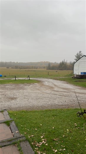 6.5K views · 77 reactions | It’s a soggy day on the farm ️ | Cook's Country Connection | Facebook