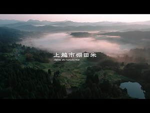 上越市棚田米