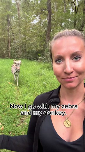 One day you’re going for hikes with your dogs. Leisurely walks with man’s best friend. The next, you have a big donkey dog and zebra dog in the mix who listen better than your actual dogs, who are still joining on the hikes. #zebra #hiking #farmlife #funnyanimals #pets