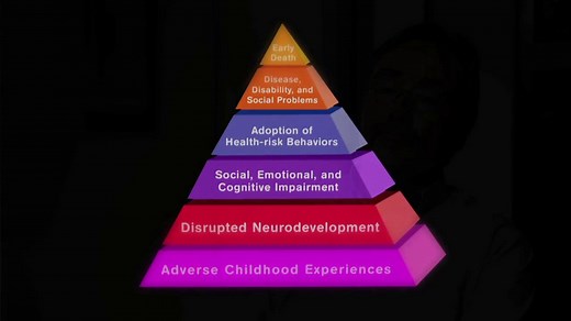 ACE Study Brief Overview (8:00)