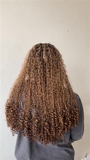 Vibrant Colour 27 & 30 for Braids and Curls