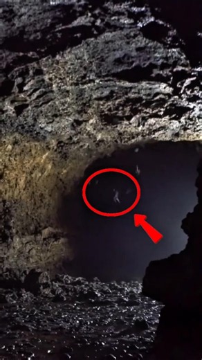 Vampires Are Real… And They Drink Blood #animals #facts #wildlife #nature #vampire