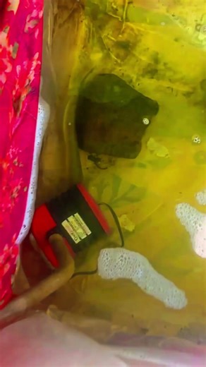 🐠 Aaj machli mar gai 😭💔#minivlog #vlog #fishfarming #trevelvlogs #dailyvlog