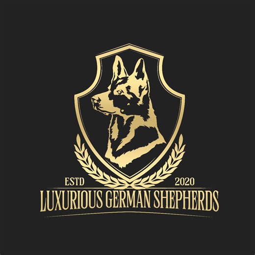 Luxurious German Shepherds | Gregory MI