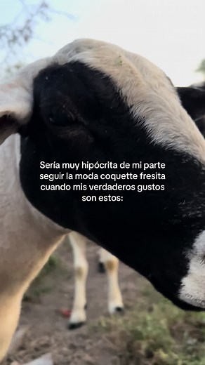 Mi mundo❤️ #fyp #paratiiiiiiiiiiiiiiiiiiiiiiiiiiiiiii #contenido #rancho #gustos #ganaderia #vaca #paisajes