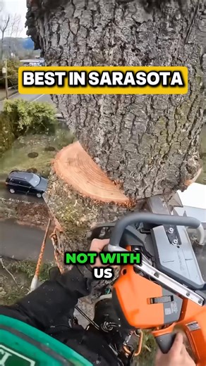 11K views · 45 reactions | Hey guys! My name is Art, and I own Art’s...