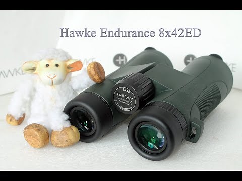 Hawke Endurance ED 8x42 binoculars review