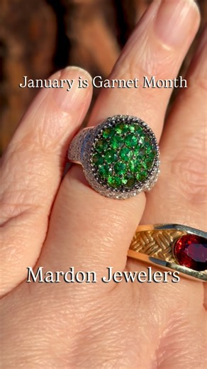Garnets are famous for being deeply red, but they can be found in every color but pure blue! They can be bright leafy green or tawny and golden. They can be orange juice orange or grape popsicle purple. If you like softer colors, there are mint green and earthy brown Garnets. Some of these colors are rare, which reminds us it’s almost time for the Tucson Gem Show. If you would like us to match a gem or find a rare gem for a special project, come in soon and let us know. We’ll be shopping for you