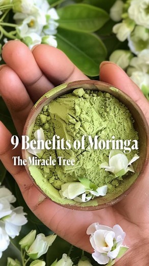 2.8K views · 32 reactions | Discover the Miracle Moringa Tree ...