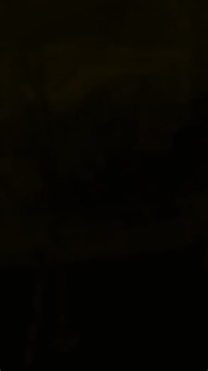 Because the world is a better place with animals in it 🐾💙 #worldanimalday #tuibluegrandazur #livehappy #summertime #travelgram #goodvibes | TUI BLUE Grand Azur