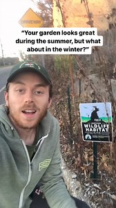 While they may not look great during the off-season, native plants and gardens still provide valuable ecological and environmental services including habitat and food for wildlife. Native bees nest in hollow stems, native birds feed on seeds to get through the winter, and butterflies and moths overwinter in leaf litter. Turf grass lawns mostly fail to provide these benefits, and also don’t look very good during the winter either. Reposted from @andrew_the_arborist #gardens #gardening #garden #pl