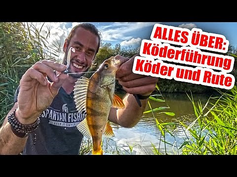 Barsche Jiggen (Anleitung) - Die beste Köderführung zum Barschangeln mit Gummifisch