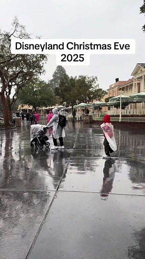 Experience Disneyland Christmas Eve Magic 2025