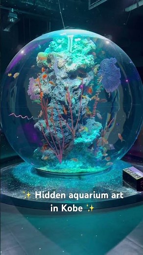 ここは 神戸のアトア水族館✨🐠 Atoa Aquarium in Kobe, Japan. #アトア水族館#神戸#神戸スポット#日本の景色#水族館#kobe#aquarium#japantravel