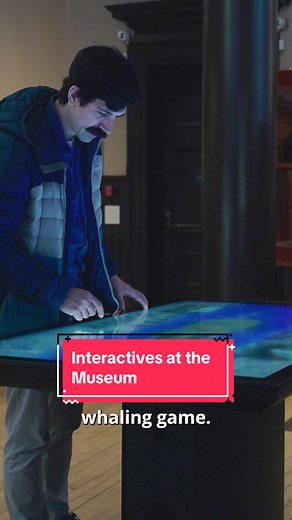 Sounds like an epic day trip if you ask us! The New Bedford Whaling Museum provides tactile and interactive exhibits that the entire family can get their hands on! From climbing into a giant Blue whale heart to playing a digital whaling game, get your senses involved while experiencing New Bedford’s art, history, science, and culture! . #museum #interactive #newbedford #art #history #science #whales