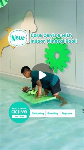 Mutts & Mittens Community on Instagram: "🎉 Exciting News! We've just opened our brand-new doggy care centre at Joo Chiat which comes with an indoor heated mineral pool! [Brought to you by Singapore's Trusted Go-To Doggy Care Brand - Mutts & Mittens Active | 4.9⭐️ Highly-rated] A NEW fully indoor Dog Boarding, Daycare & Swim experience with a Heated Mineral Pool! Dog Boarding 🏠 Day Care 🐶 Indoor Heated Mineral Pool 💦 Dedicated to providing the highest level of care for your Furkids, Mutts & M
