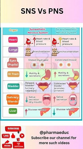 Sympathetic vs Parasympathetic Nervous System | Easy Comparison with Visual Mnemonics