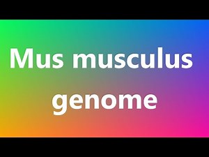Mus musculus genome - Medical Definition and Pronunciation