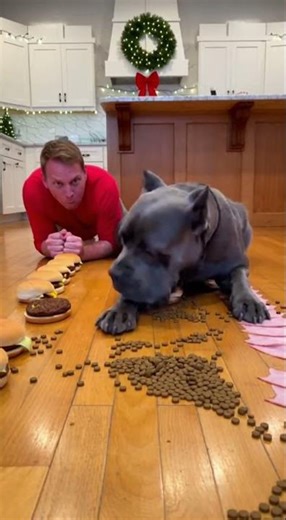 I Set Up the Eating Challenge My Dog Couldn't Lose 😭 #dogeating #challenge #shorts