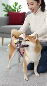 New addition: Winter Fashion Pet Clothing