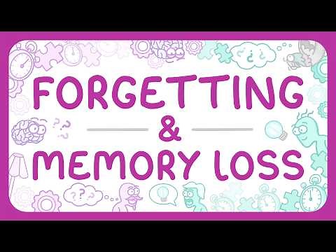Psychology - Forgetting & Memory Loss