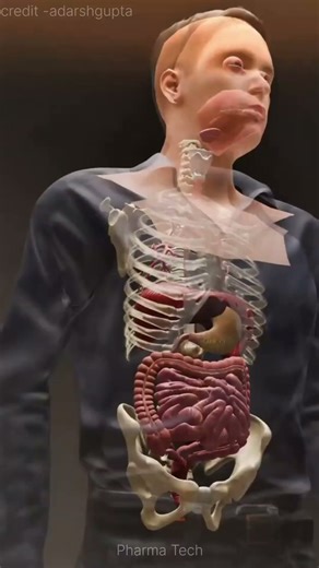 What is appendix 🤔 Appendix kya hota ?#viral #appendix #new #short #newvideo #science #pharmecy #ai