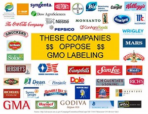 Prop 37 to Label GMO Foods Fails in California