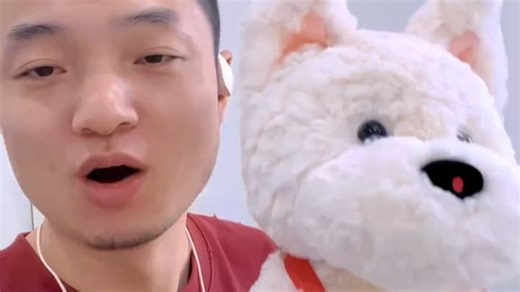 噜咔博士Calolo卡噜噜AI宠物狗 AI对话陪伴机器人电子宠物智能玩具 Calolo卡噜噜AI宠物狗 (1)