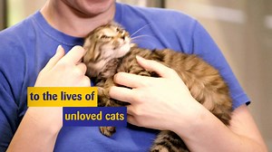 Everyone will be purring when you play our lottery. Win cash, help cats and get Cat Happy. | Cats Protection