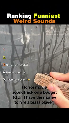 When Objects Make Weird Sounds 😂💀